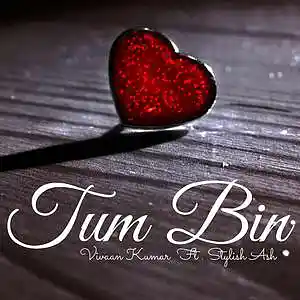 Picture for song 'Tum Bin' by artist 'stylish ash'