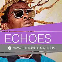 Picture for song 'Echoes' by artist 'TheTomcatMind'