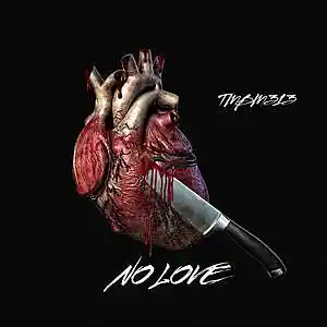 Picture for song 'No Love' by artist 'TMBM313'