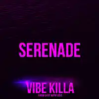Picture for song 'Serenade' by artist 'VIBE KILLA'