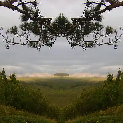 Picture for song 'Xyrgol' by artist 'Xulltek'