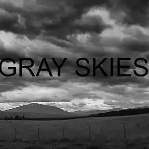 Picture for song 'Gray Skies' by artist 'BASSOTRONICS'