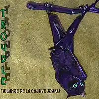 Picture for song 'Melange de la Chauve Souris' by artist 'Bat's Brew'
