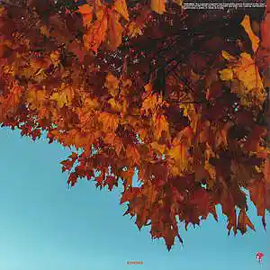 Picture for song 'Autumn IV' by artist 'Ezhdee'