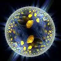 Picture for song 'Artifact303 - In Your Mind (Fiery Dawn Remix)' by artist 'Fiery Dawn'