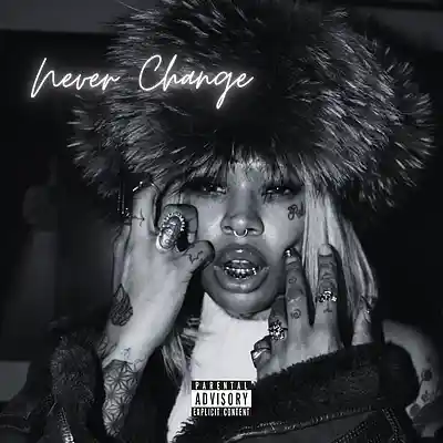 Picture for song 'Melodic Trap Type Beat "Never Change"' by artist 'Profitics'