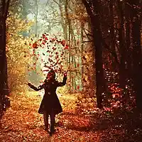 Picture for song 'THE LEAVES ARE FALLING' by artist 'tamsnumber4'