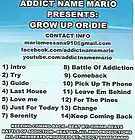 Picture for song 'INTRO' by artist 'Addict Name Mario'