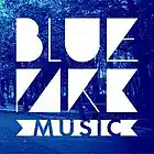 Picture for song 'Tried and True ** Hot Track**' by artist 'Blue Park Music'