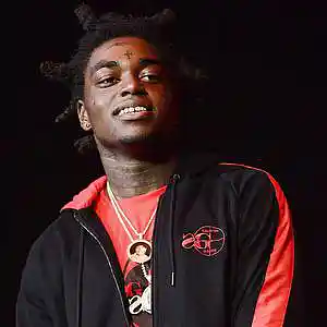 Picture for song 'Addiction / Kodak Black Type' by artist 'Track Professionals'