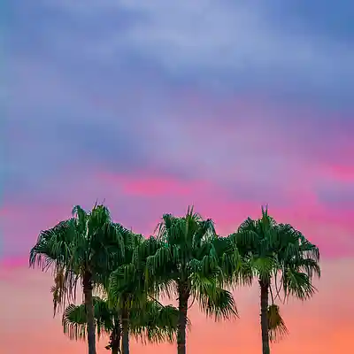Picture for song 'Rainbow - Exciting Trap Beat. [BUY 2 & GET 3]' by artist 'LAWSTY'