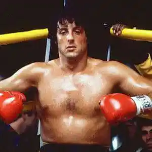 Picture for song 'Rocky Theme' by artist 'Previous Signs of Decay'