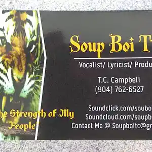 Picture for song 'Florida Boi Salute' by artist 'TcduhSoupa'