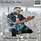 Picture for song 'Not Given A F***' by artist 'The Real Mr Sixx'