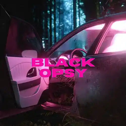 Picture for song 'what i want' by artist 'black opsy'