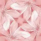 Picture for song 'Ain't Nobody' by artist 'Futuretalkshowchick'