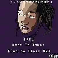 Picture for song 'What It Takes Prod By Elyes BGH' by artist 'Hamz'