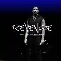 Picture for song 'Revenge (ft Richie Beatz)' by artist 'illWillbeatzOfficial'
