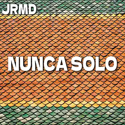 Picture for song 'Nunca Solo (Latin Pop x Reggaeton Type Beat)' by artist 'Jrmd'