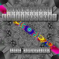 Picture for song 'Monochrome Kaleidoscope' by artist 'Lee Shapiro'