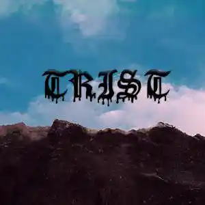 Picture for song 'Trap Hip Hop Beat' by artist 'Ormedeus'