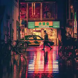 Picture for song 'Enough Pain' by artist 'Polar Fox'