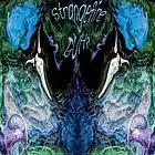 Picture for song 'Eucalyptus Teeth' by artist 'strangefire'