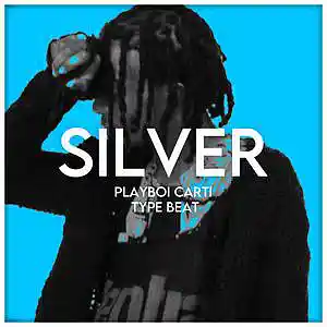 Picture for song 'Silver Playboi Carti Whole Lotta Red Type Beat' by artist 'Toast Beats'