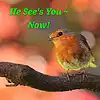 Picture for song 'He Sees You - Now! ..(feat Harry Clarke UK)' by artist 'Gloria May Byron'