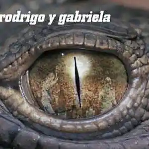 Picture for song 'tamacun- rodrigo y gabriela cover-' by artist 'JimRoss'