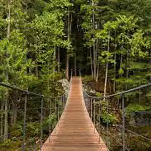 Picture for song 'Badlands Road' by artist 'Johanna Renfro'