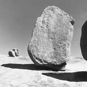 Picture for song 'Play In My Yard' by artist 'nedped'