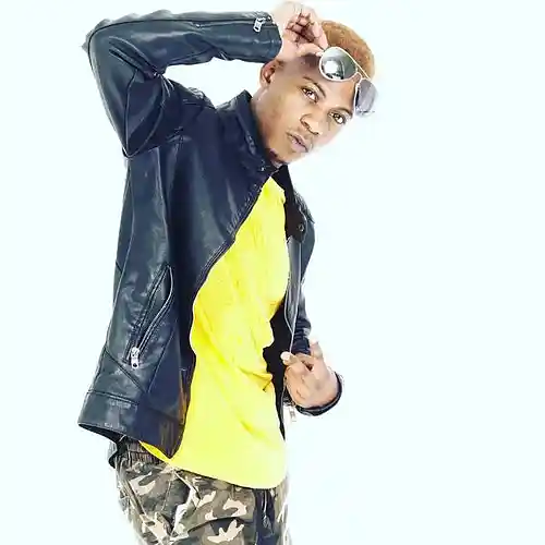 Artist picture