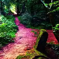 Picture for song 'The Left Hand Track' by artist 'The Smivets'