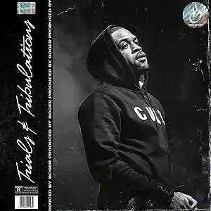 Picture for song 'Trials & Tribulations (Lloyd Banks Type Beat)' by artist 'BOGER'