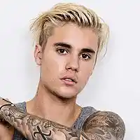 Picture for song '*SOLD* Search (Justin Bieber 'Where Are You Now')' by artist 'DJ Shaw-t'
