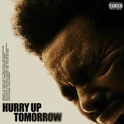 Picture for song 'THE WEEKND ENJOY THE SHOW feat Future Remix' by artist 'Littium Music'