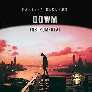 Picture for song 'Dowm' by artist 'Pantera Records'