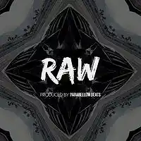 Picture for song 'Raw' by artist 'Parabellum Beats'