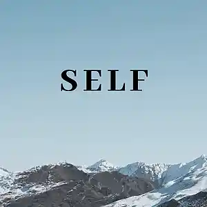 Picture for song 'self' by artist 'RelevantBeats90'