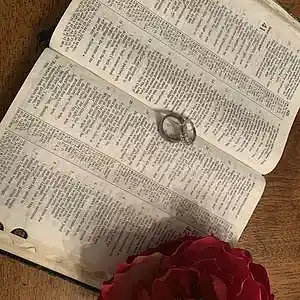 Picture for song 'Your the one' by artist 'Sean J Williams'