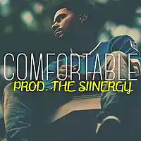 Picture for song 'Comfortable * Smooth * FREE DL' by artist 'The Siinergy'