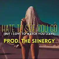 Picture for song 'Hate To See You Go *Future* FREE DL' by artist 'The Siinergy'
