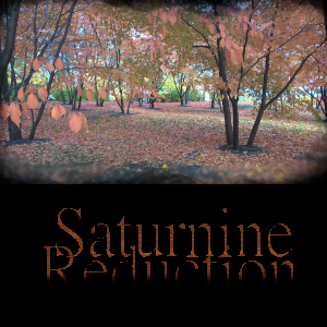 Picture for song 'Clear Sky' by artist 'Saturnine Reduction'