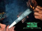 Picture for song 'ongelovelijk dik' by artist '13 1rules'
