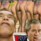 Picture for song '***bottom line.mp3 ***' by artist 'beatsonbeats'