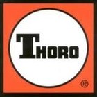 Picture for song 'Thoro' by artist 'Black Light Music LLC'