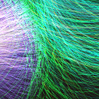 Picture for song 'Face Paced' by artist 'Check Out This Hat'