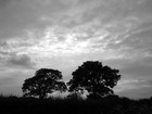 Picture for song '*Pop* The Day - CB, Valet, SM Collaboration -F.DL!' by artist 'College Boii'