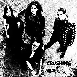 Picture for song 'Damage' by artist 'Crushing Dayze'